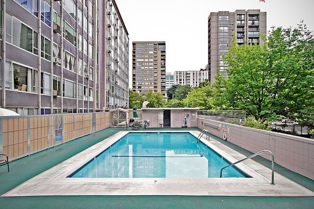 Foto principal - Light and Bright 1 bedroom 1 bath condo first hill