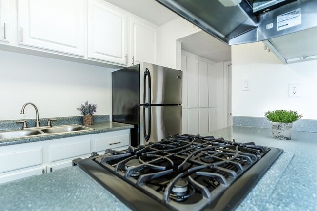 Interior Photo - Twenty One 41