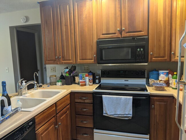Building Photo - 3521 Meadow Green Ct