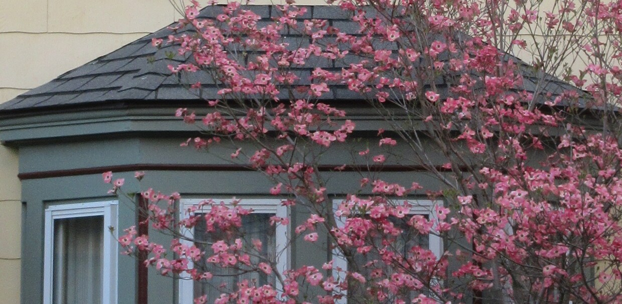 2 bedroom 1 bath sunny apartment - 67 Market St