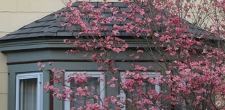 2 bedroom 1 bath sunny apartment - 67 Market St
