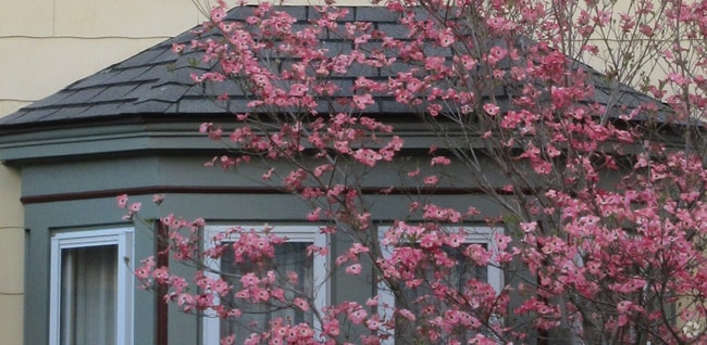 2 bedroom 1 bath sunny apartment - 67 Market St