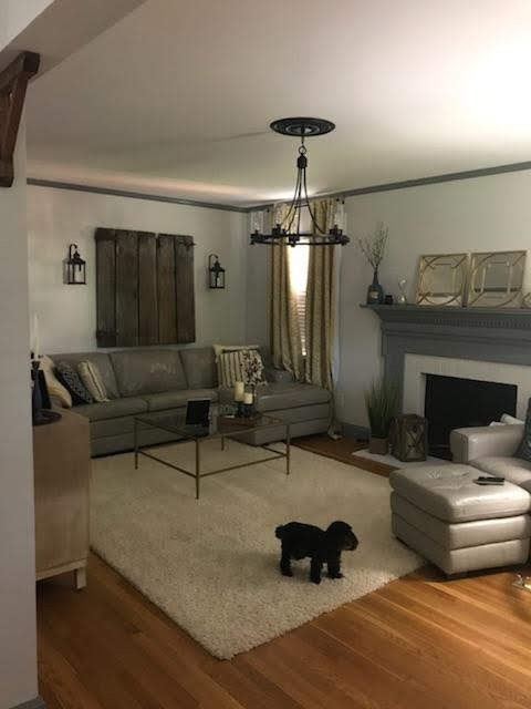 Building Photo - 3 br, 2 bath House - 1904 Mimosa Drive
