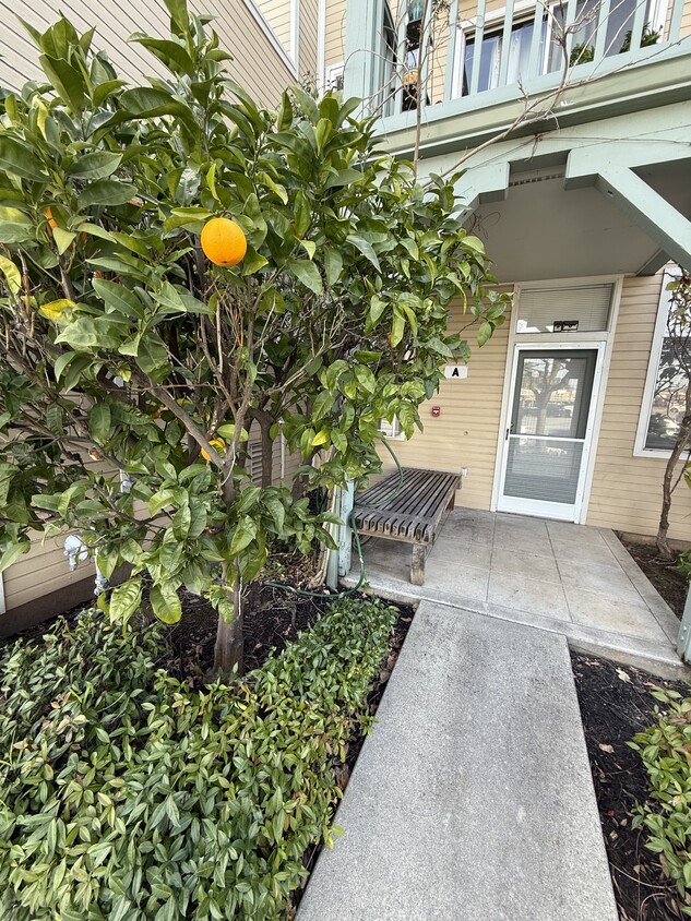 Primary Photo - 161 Blossom Cir