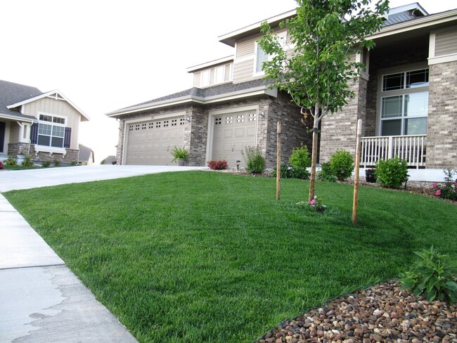 Foto del edificio - Absolutely Stunning West Arvada/Golden Gem...
