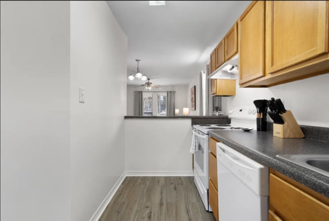 Building Photo - 269 Benachi Ave