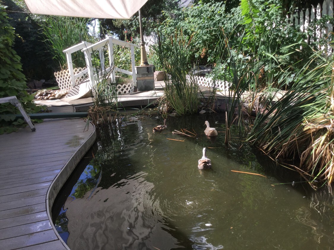 6703 Grandview Ave, Arvada, CO 80002 Apartments in Arvada, CO