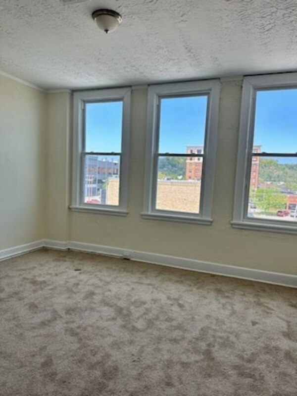1111 4th Ave Unit 303, Huntington, WV 25701 Condo for Rent in