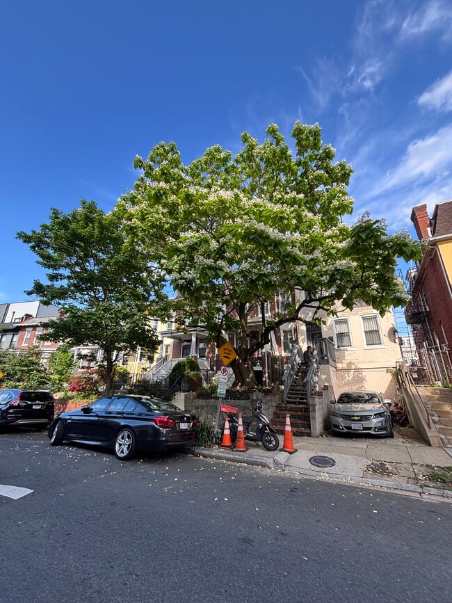 Photo - 3547 10th St NW Apartments