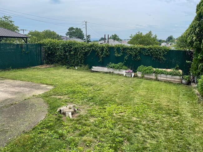 Back yard - 29 Monroe Pl