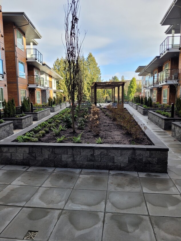 Elevated Entrance Podium - 11655 Fraser St