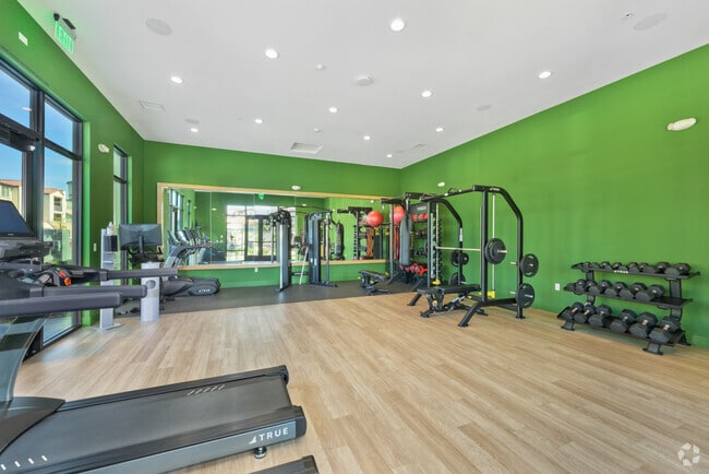 Fitness Center - The Kingsley Luxury Apartments