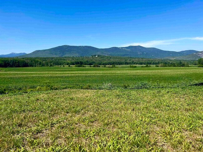 Foto del edificio - 30 & 38 Alpine Place Dr