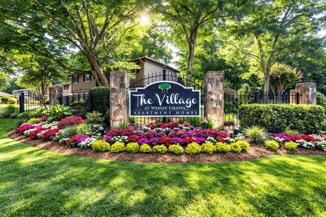Foto del edificio - The Village at Wesley Chapel