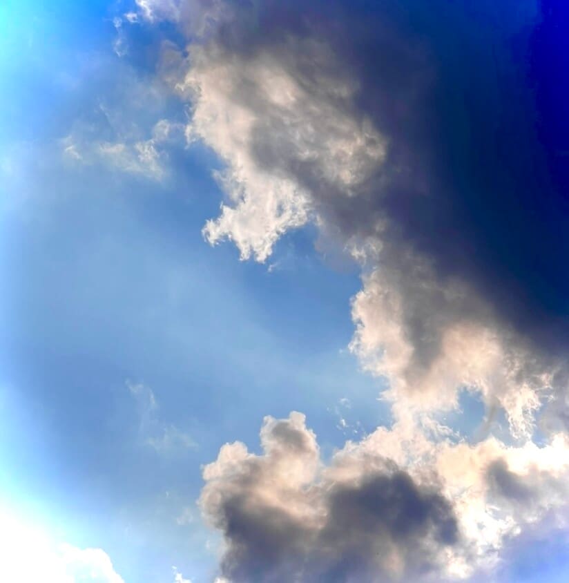 412 N McGregor Ave, Mobile, AL 36608 Townhome Rentals in Mobile AL