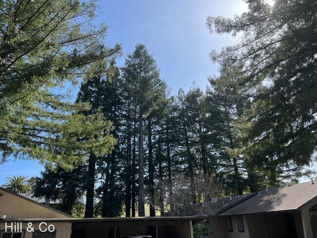 Building Photo - 1 br, 1 bath House - 10 Catalpa Avenue # 4