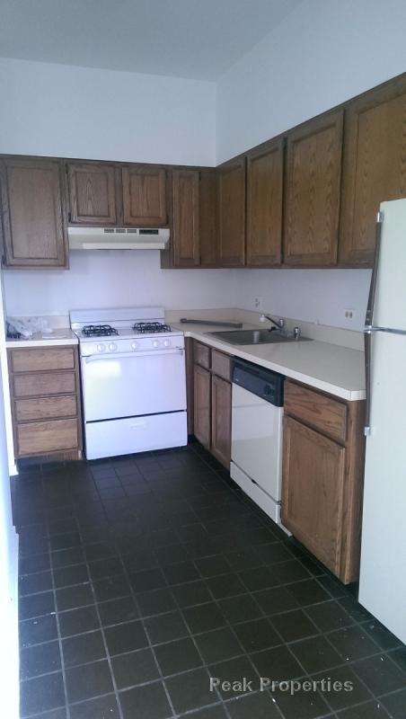 Foto del edificio - 1727 N Halsted St