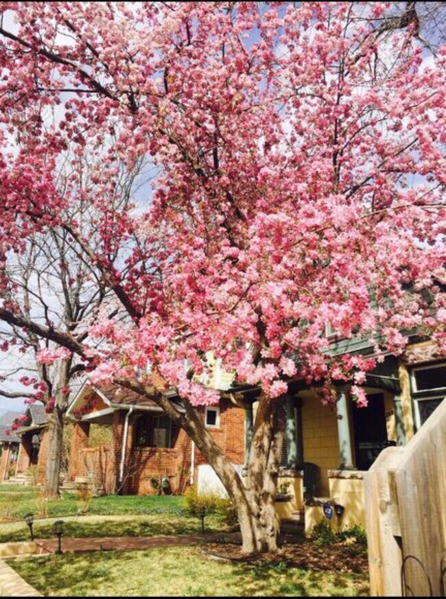 Foto del edificio - 368 S Humboldt St