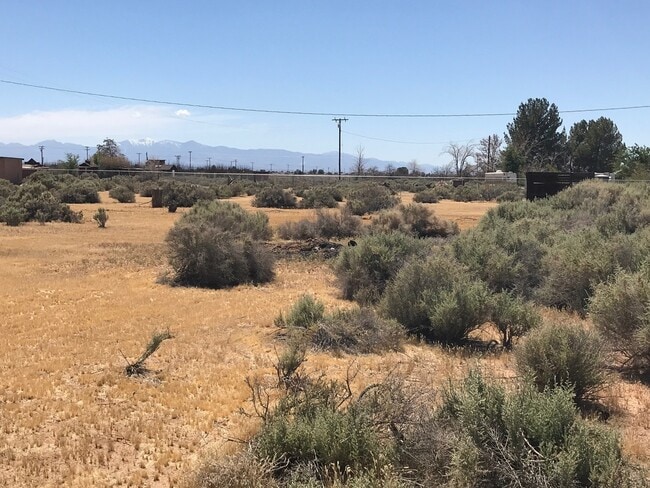 Building Photo - COUNTRY LIVING 2 BEDROOM HOME IN APPLE VALLEY