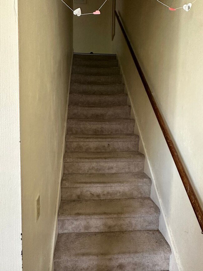 Foto del edificio - 206 Pheasant Run Dr