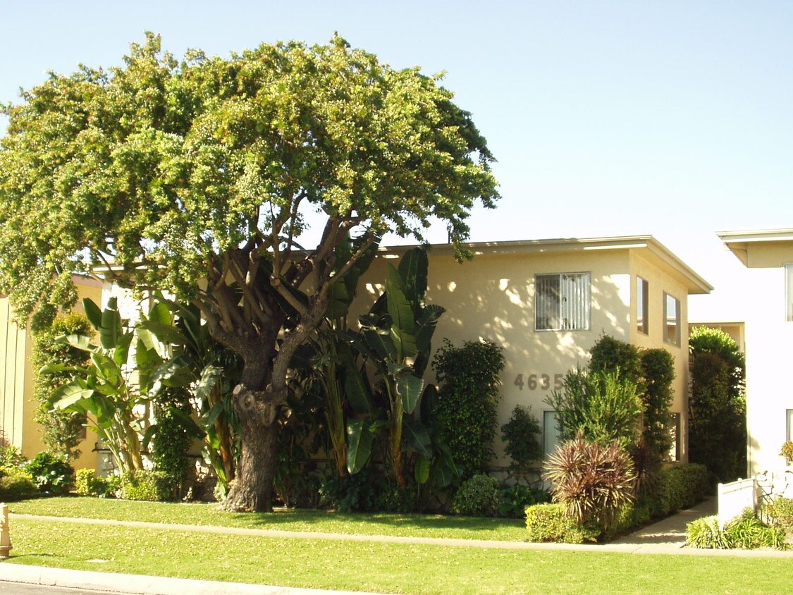 Primary Photo - 4635 N Bellflower Blvd