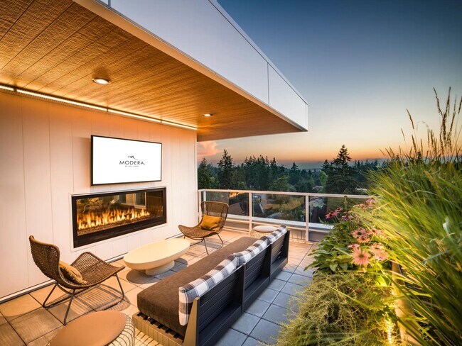 Building Photo - Modera Shoreline