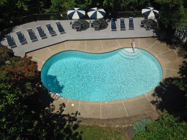 ¡Verano! - Sutton Place Apartments and Townhomes