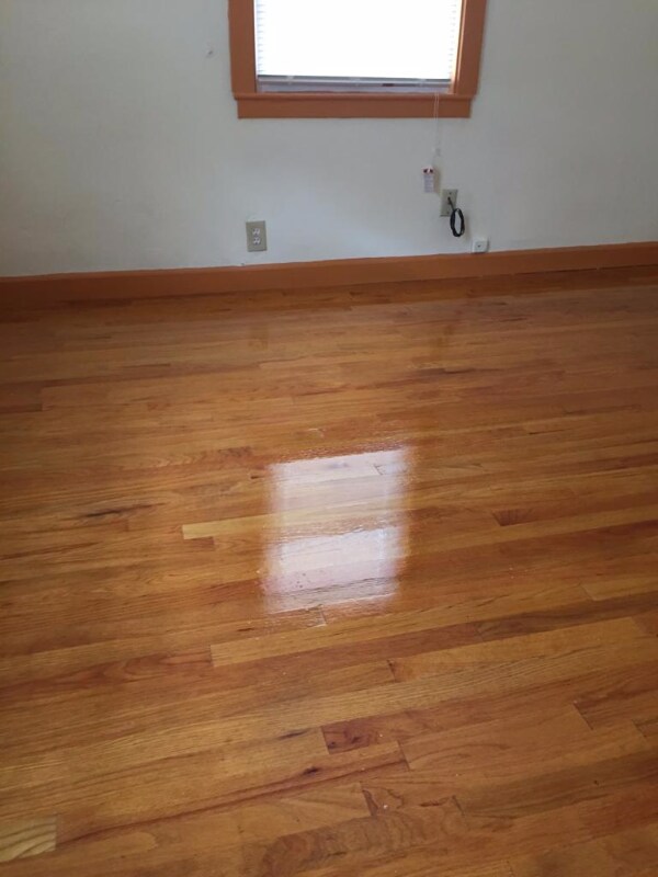 Building Photo - 61 Pershing St