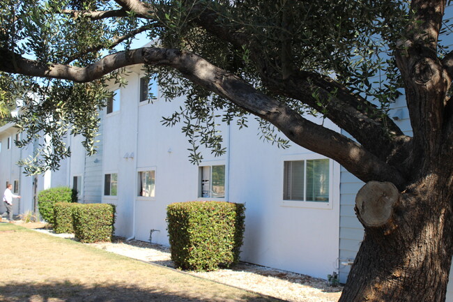 outside view - Elevate Apartment Homes