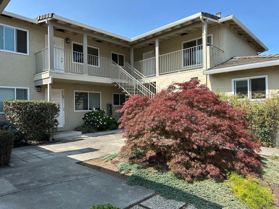 Foto principal - 1239 Valerian Ct