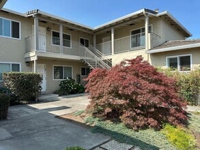 Building Photo - 1239 Valerian Ct