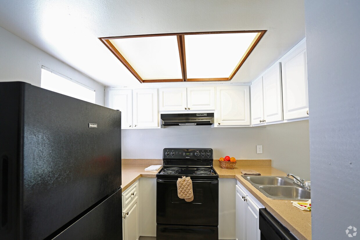 Palms At Sand Lake Rentals Tampa, FL