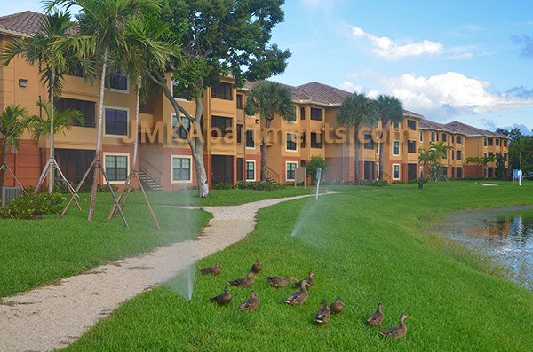 Foto principal - 2536 Village Blvd
