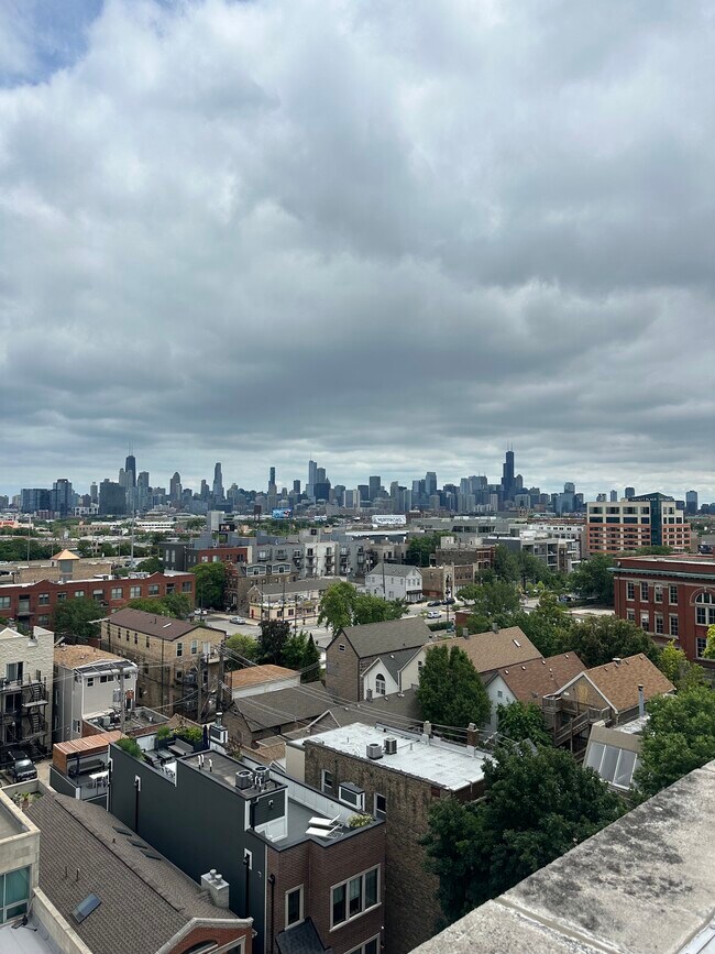 Rooftop skyline views - 1720 N Marshfield Ave