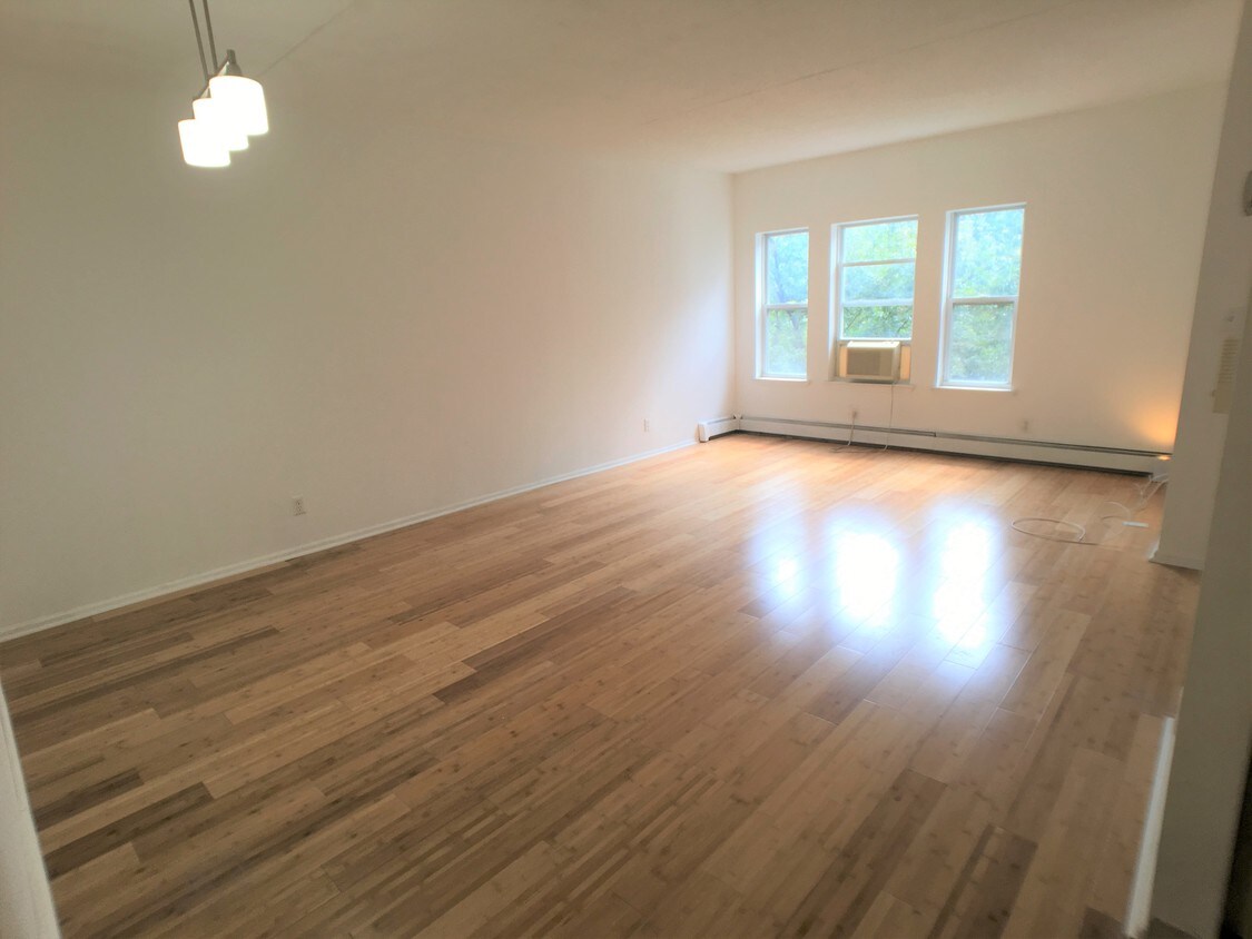 Living Room - 125 W 117th St