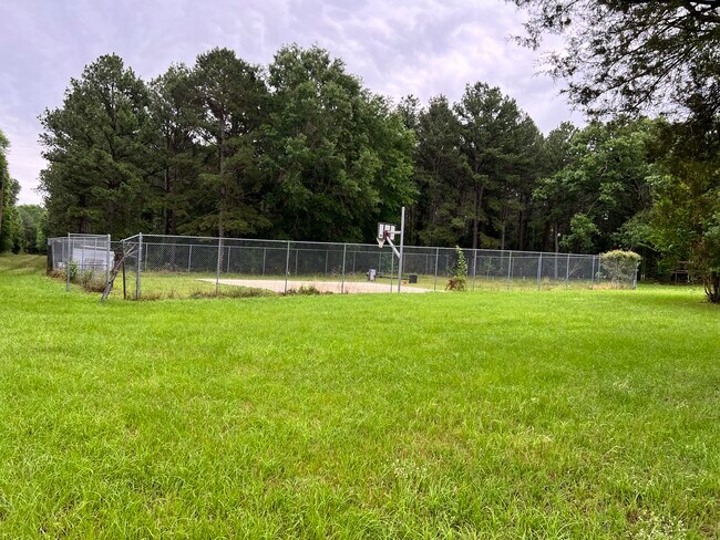 Basketball Court - 371 Avinger Cut Off