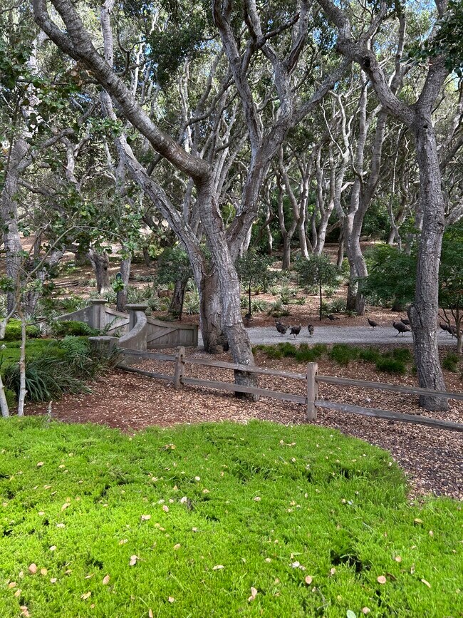 Foto del edificio - 5476 Quail Meadows Dr