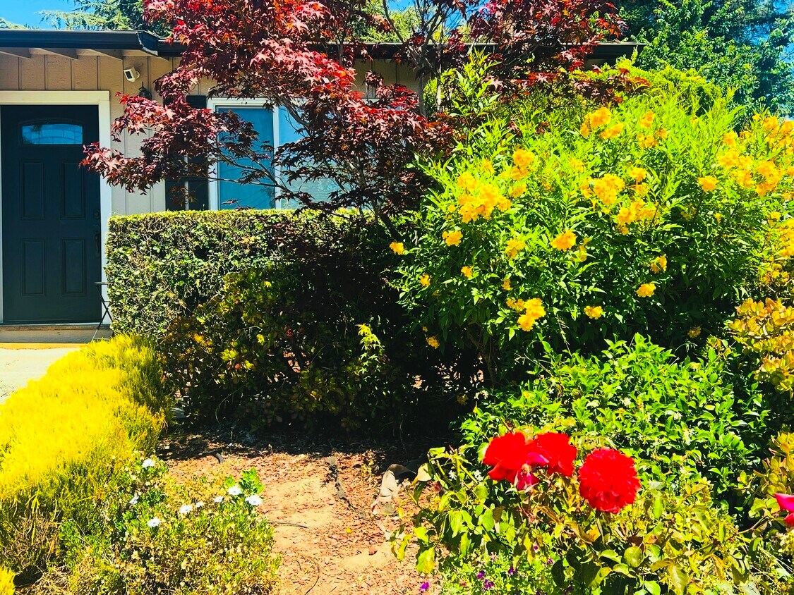 Photo - 4018 Coolidge Ave (Oakland, CA)