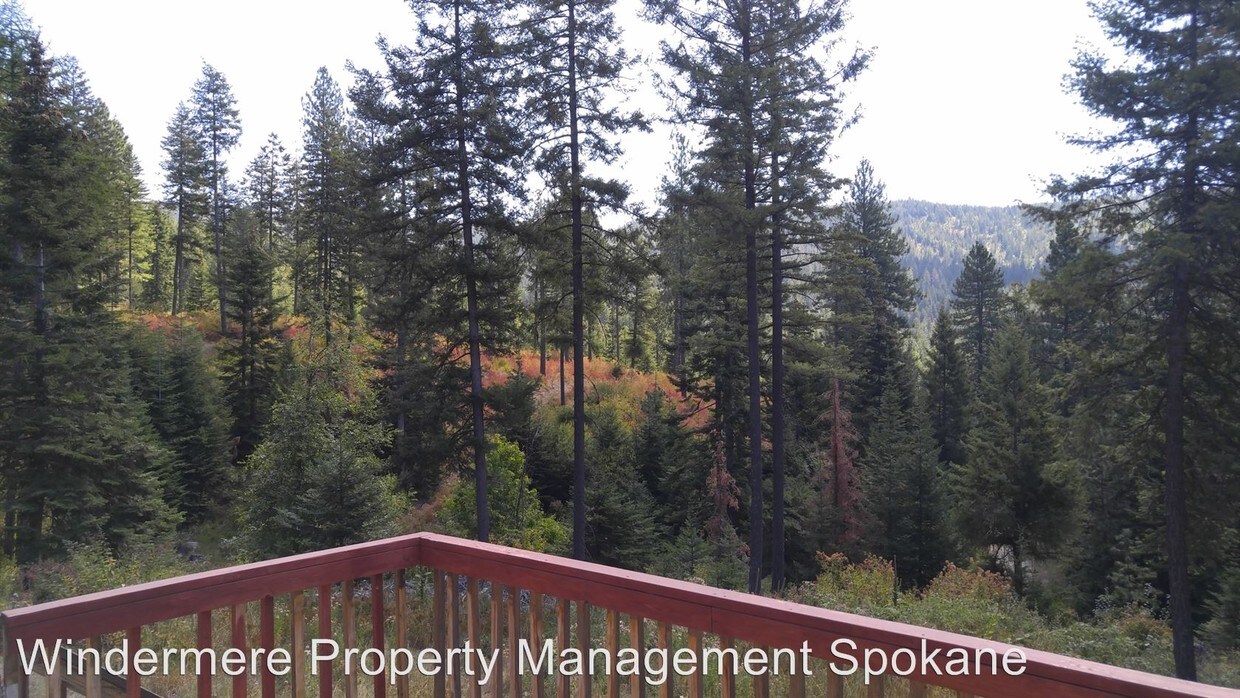 Primary Photo - 26212 N Day Mount Spokane Rd