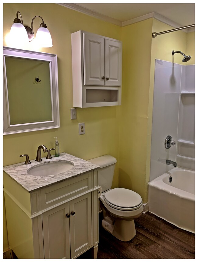 Brand new bathroom lighting, vanity, cabinet, fixtures and a nice bright LED light in the new shower/tub. - 663 Central St