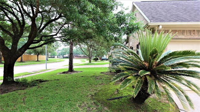 Building Photo - 26519 Sandy Arbor Ln