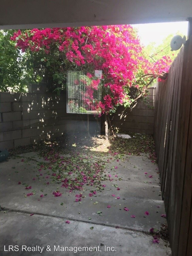 Primary Photo - 343 Cabrillo St