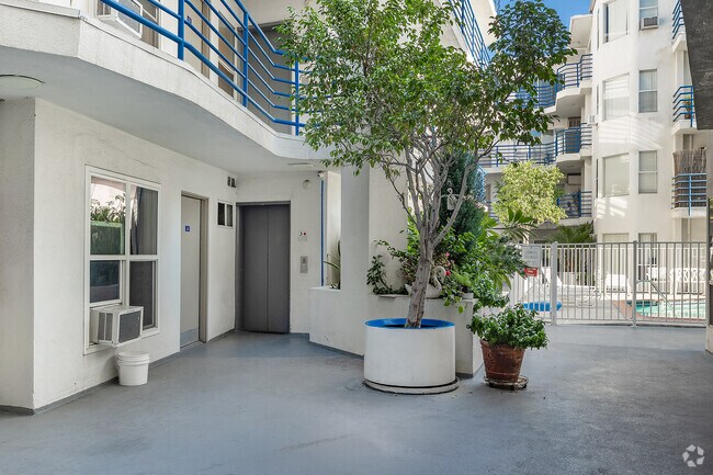 Patio - Sycamore Terrace