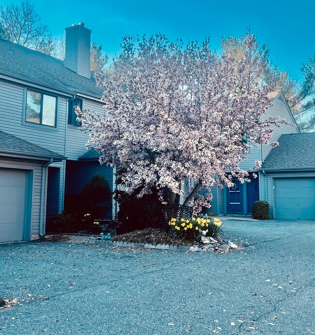 Patio Norte - 140 Dickinson Ln