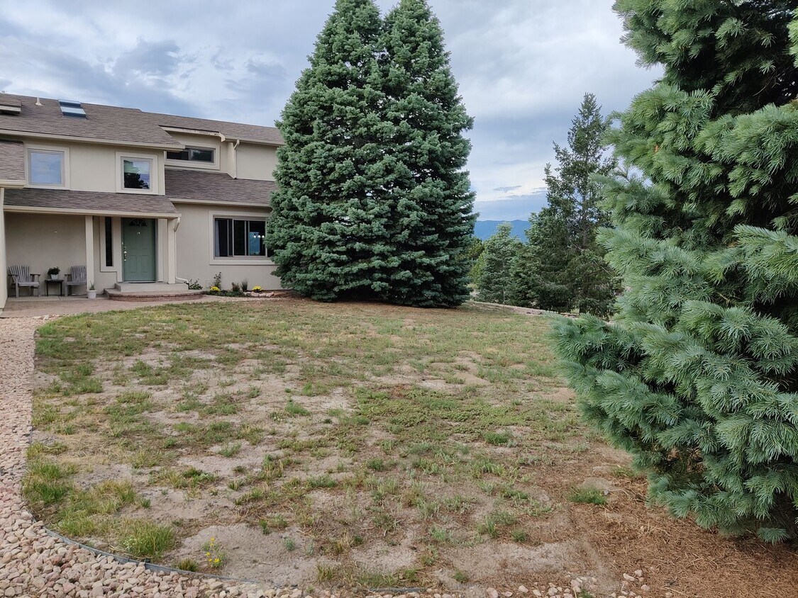 Foto principal - Stunning 3 Bed Home in Woodmoor!