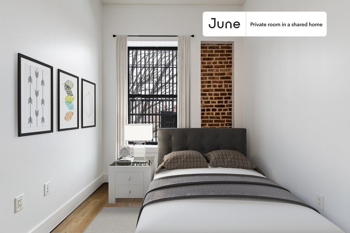 Room in Shared 4 bed/2 bath home - Room in Shared 4 bed/2 bath home