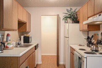 Springbrook - Kitchen - Homestead Apartments