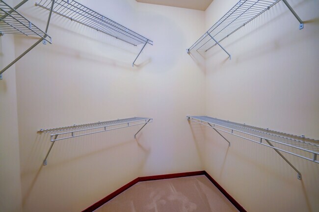 1BD Madison- Closet - The Addison