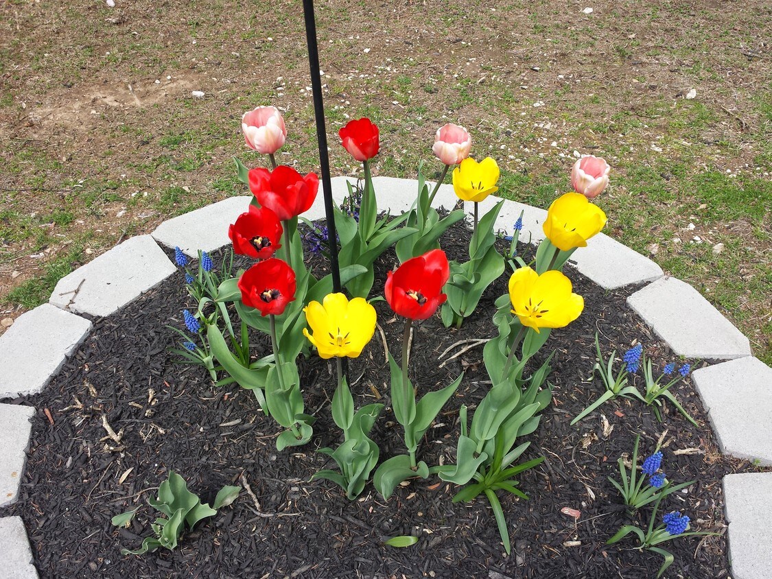 Foto principal - 39 Morris Hubbard Rd