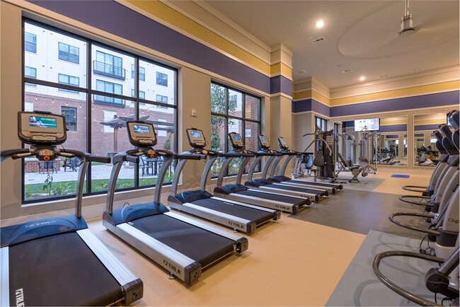 Photo - The Standard at Knoxville Apartments